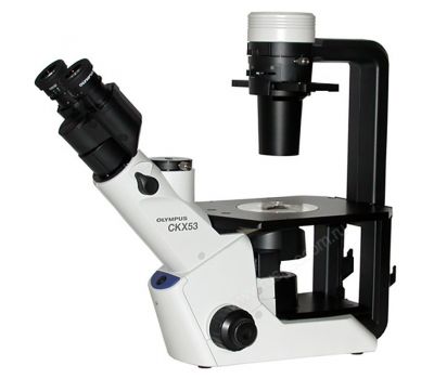 Микроскоп OLYMPUS CKX53