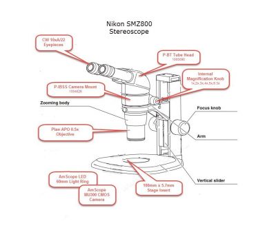 Микроскоп Nikon SMZ800