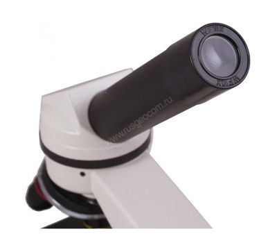 Цифровой микроскоп Levenhuk Rainbow D2L